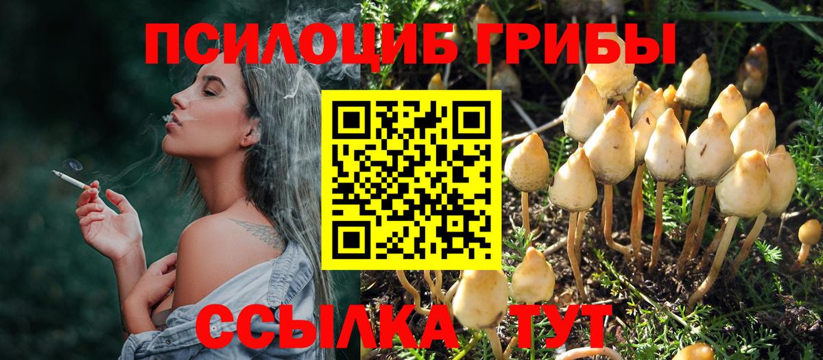 Псилоцибиновые грибы ЛСД Коркино