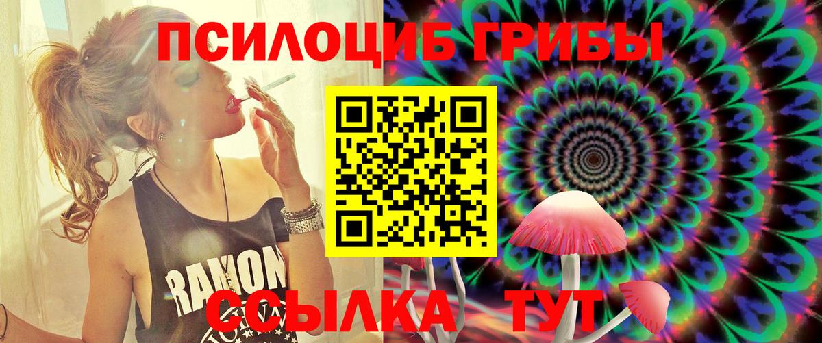 Коркино  Псилоцибиновые грибы мицелий  Псилоцибиновые грибы мухоморы  Вход с VPN 